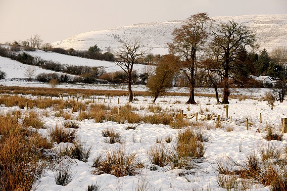 039 Snow