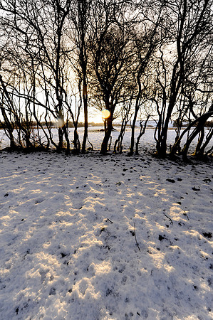041 Snow