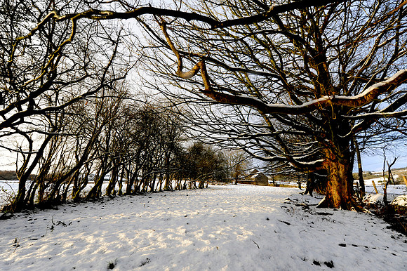 040 Snow
