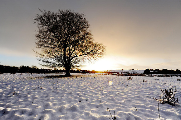 042 Snow
