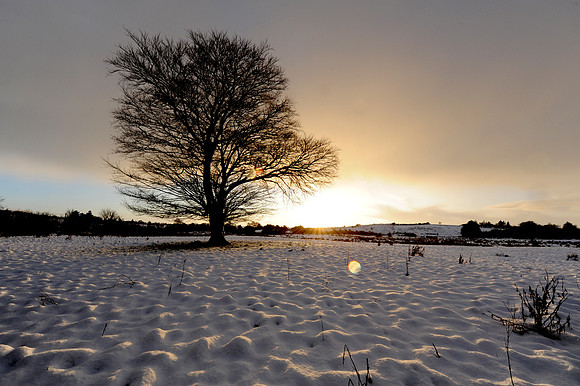 043 Snow