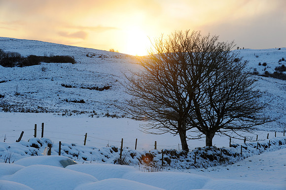 044 Snow