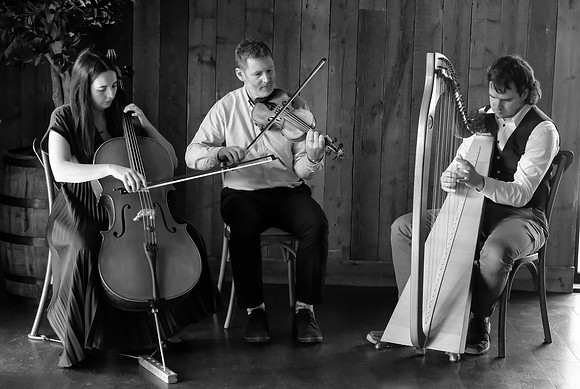 65 The Barn Sessions edited_