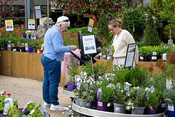 168 Ardcarne Garden Centre edited 25th April edited_