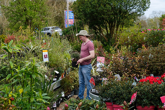 167 Ardcarne Garden Centre edited 25th April edited_