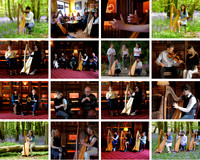 Carolan Collective