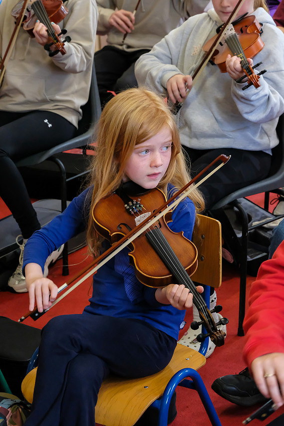 O'Carolan Harp Festival and Summer School 2026