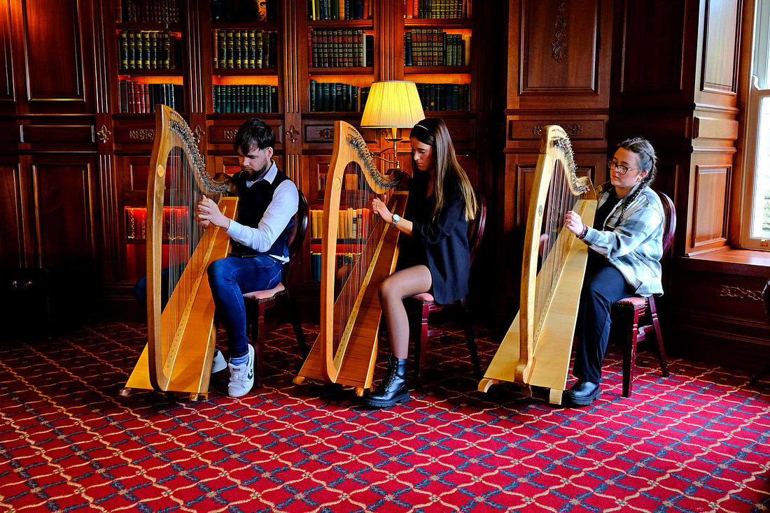  Harp Festival and Summer School 