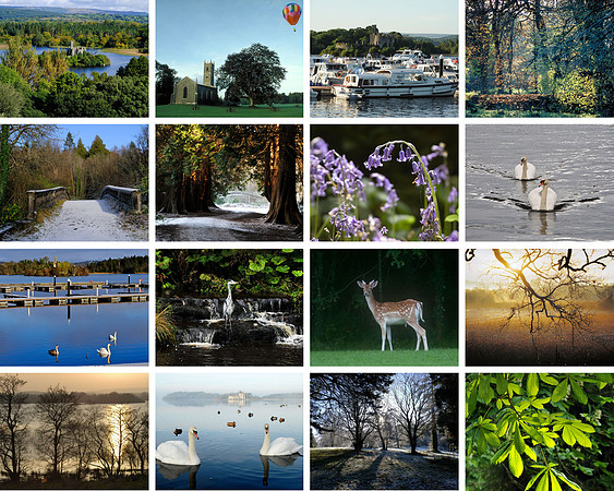 0039 Inspirational Roscommon