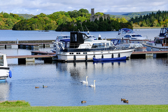 0049 Inspirational Roscommon