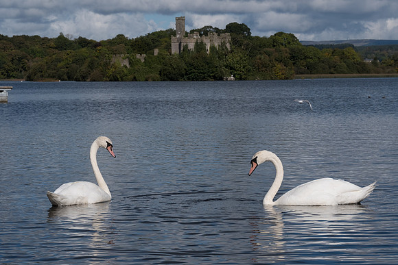 0062 Inspirational Roscommon