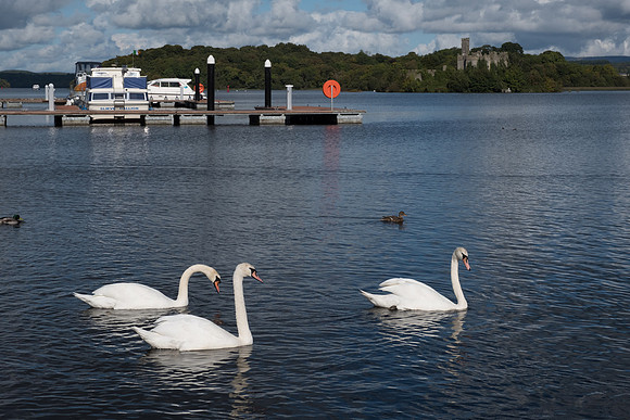 0061 Inspirational Roscommon