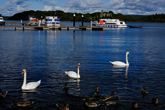 0060 Inspirational Roscommon