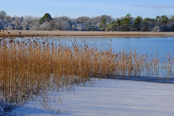 0089 Inspirational Roscommon