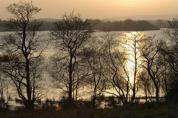 0103 Inspirational Roscommon