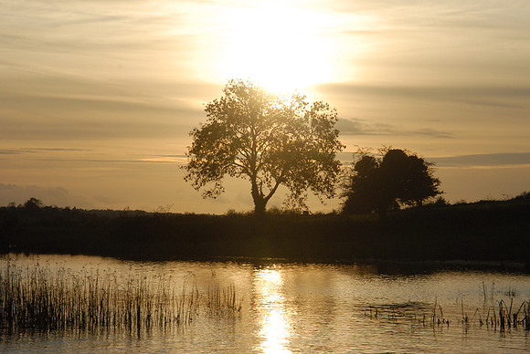 0104 Inspirational Roscommon