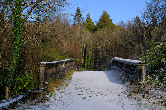 0108 Inspirational Roscommon