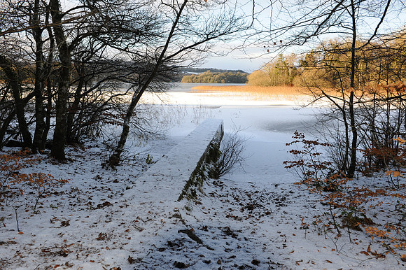 0112 Inspirational Roscommon