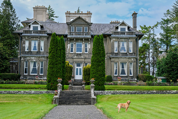 0165 Inspirational Roscommon