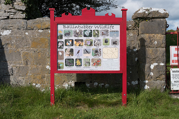 0179 Inspirational Roscommon