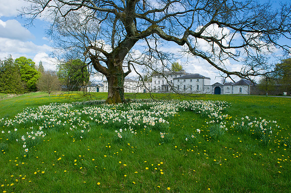 0423 Inspirational Roscommon