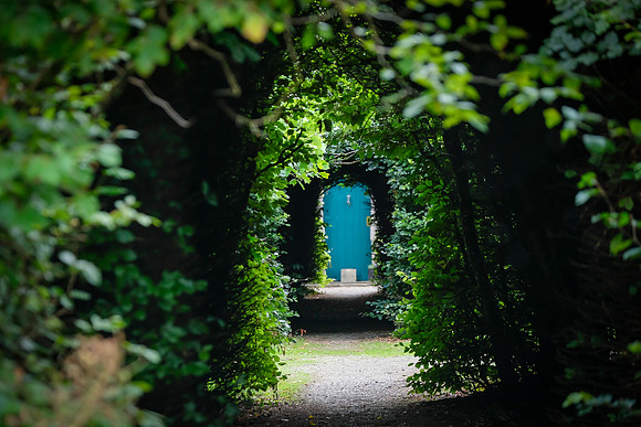 0481 Inspirational Roscommon