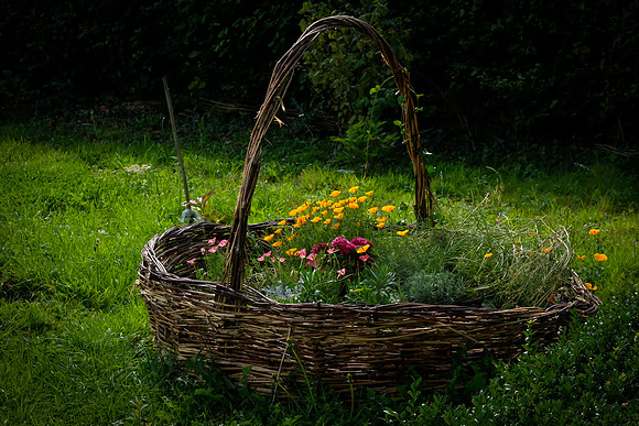 0506 Inspirational Roscommon