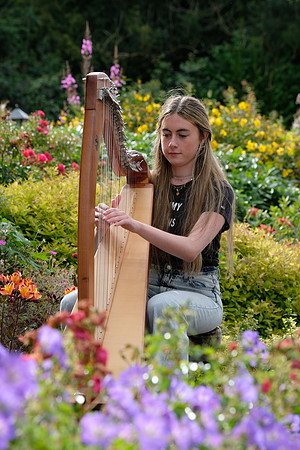 0046 O'Carolan Harp Festival 3rd August