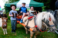 Lough Rynn Harvest Festival and Vintage Day 6th Sept.
