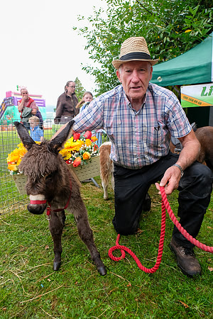 28 Lough Rynn Harvest Fair 6th September_