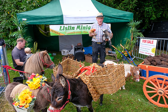 31 Lough Rynn Harvest Fair 6th September_