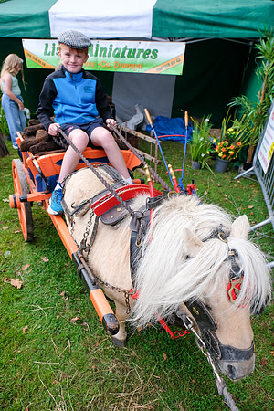 37 Lough Rynn Harvest Fair 6th September_