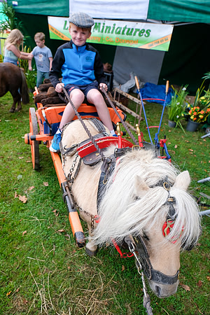 38 Lough Rynn Harvest Fair 6th September_