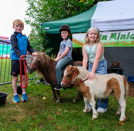 45 Lough Rynn Harvest Fair 6th September_