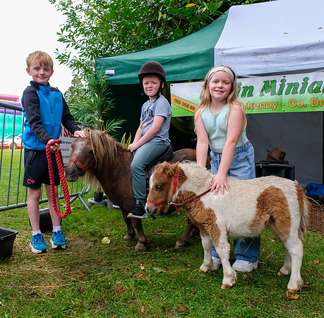 46 Lough Rynn Harvest Fair 6th September_