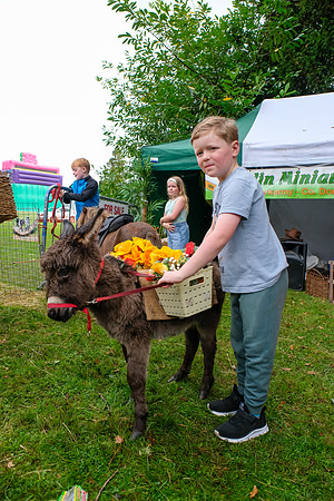 51 Lough Rynn Harvest Fair 6th September_