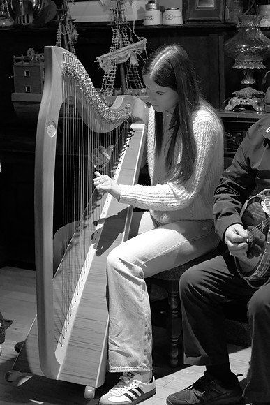 0151 O'Carolan Musicians