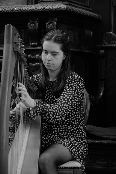 0075 O'Carolan Musicians