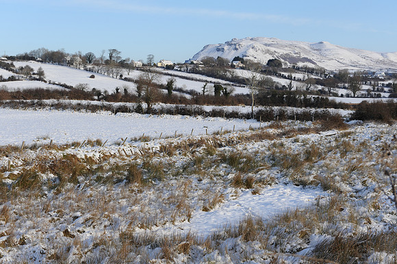 094 Snow David Knight