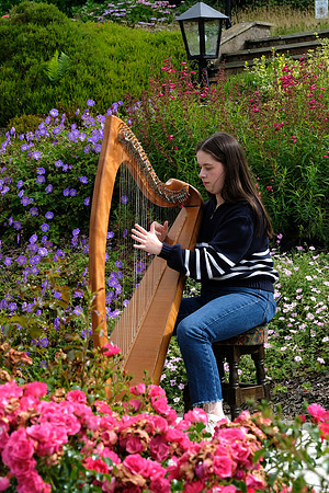 0042 O'Carolan Harp Festival 3rd August