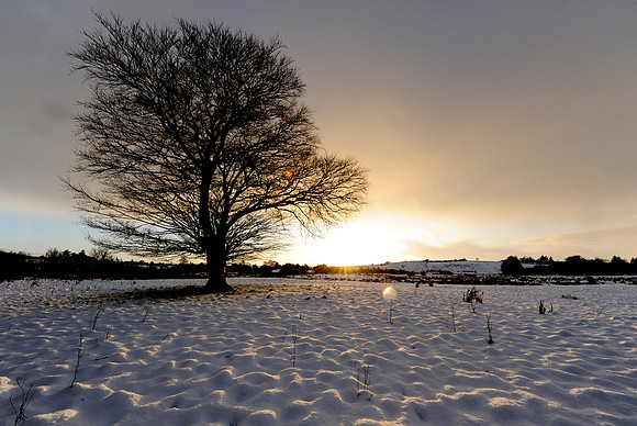 058 Snow David Knight