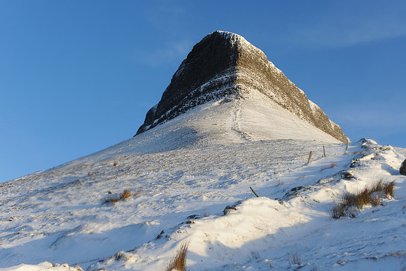 110 Snow David Knight