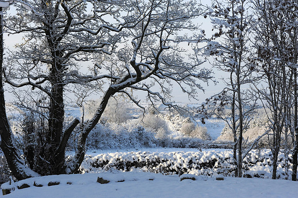 038 Ireland in the snow