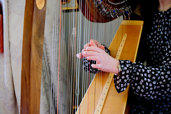 0101 O'Carolan Musicians