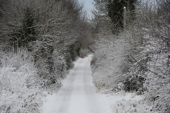 068 Snow David Knight