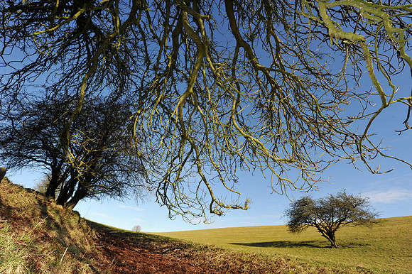 27 Hill of Tara