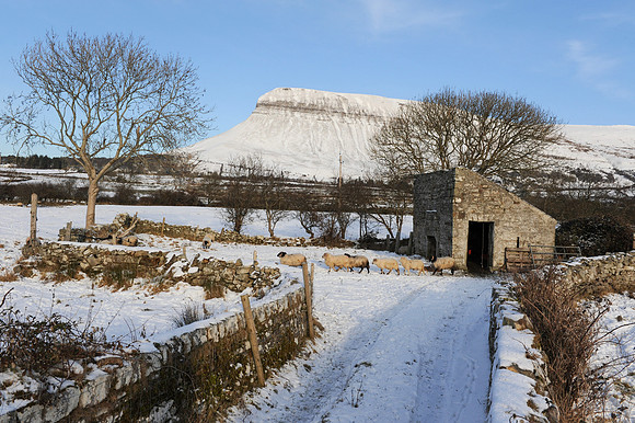 056 Ireland in the snow