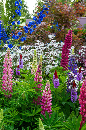 141 Irish Flowers