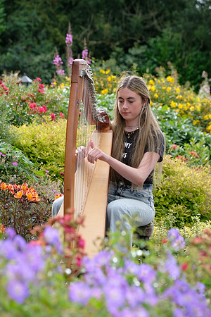 0045 O'Carolan Harp Festival 3rd August