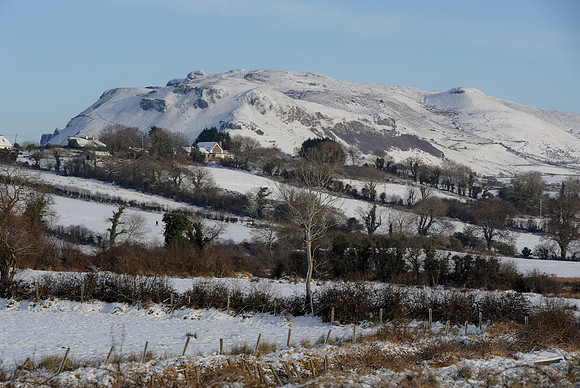 093 Snow David Knight